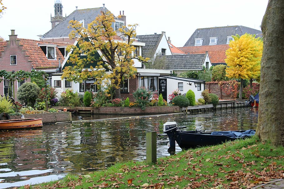 landscape, weekend, breathing, air, green, nature, autumn, amsterdam HD wallpaper