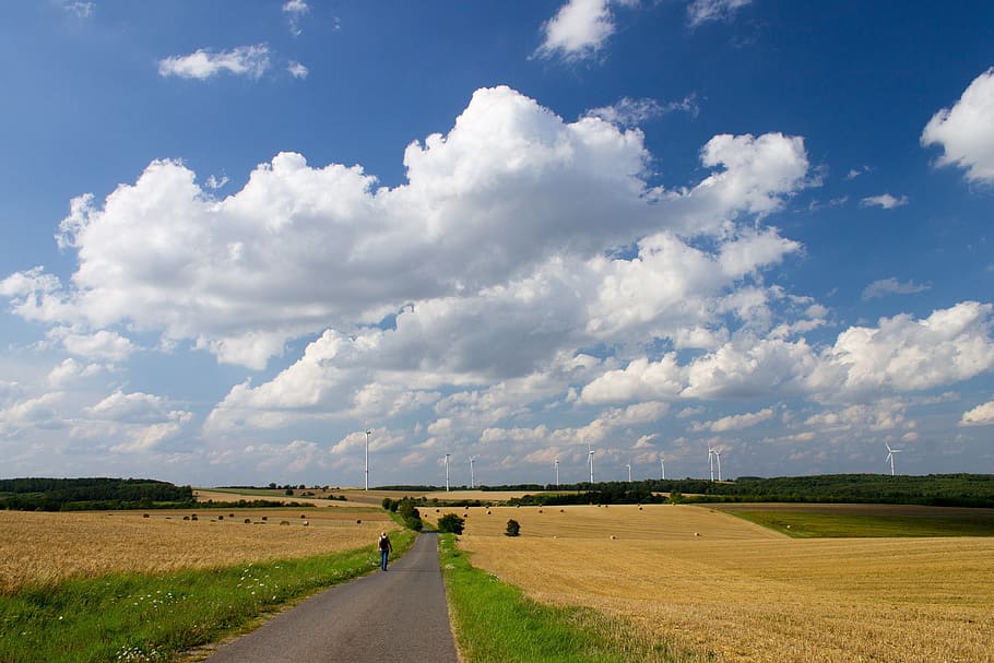 person walking near rice field, nature, clouds, windräder HD wallpaper