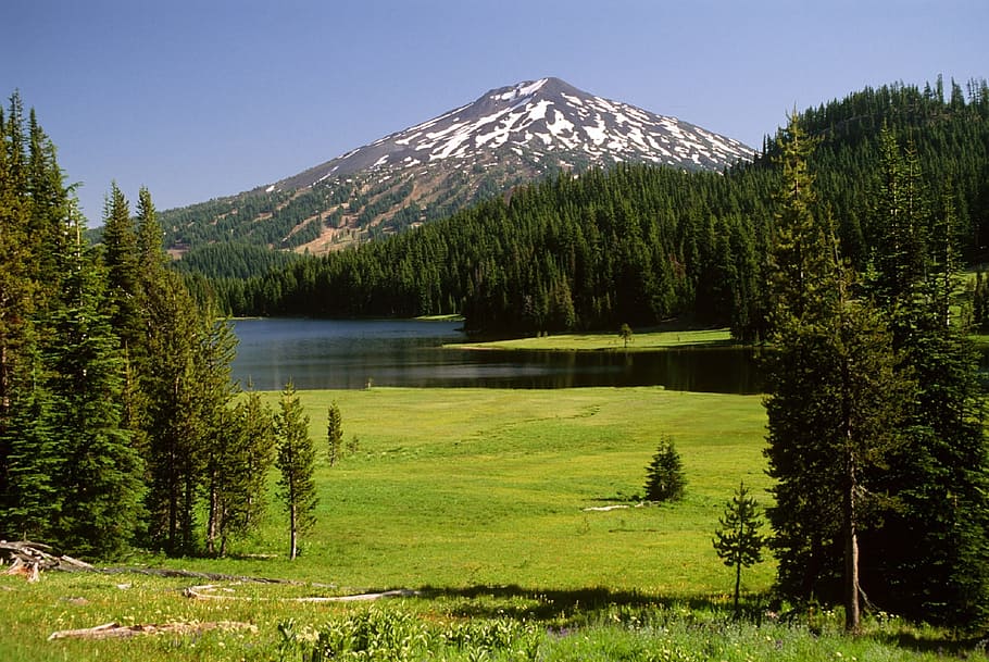 Meadow, Landscape, Mount Bachelor, stratovolcano, scenic, green, HD wallpaper