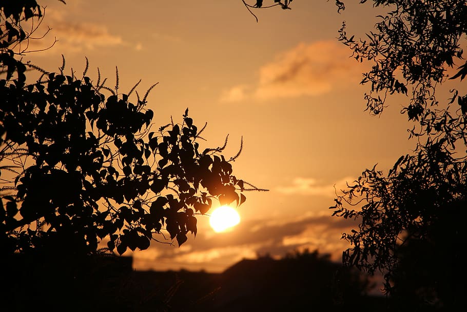 eventide, nature, sunset, environment, sol, sky, afternoon HD wallpaper