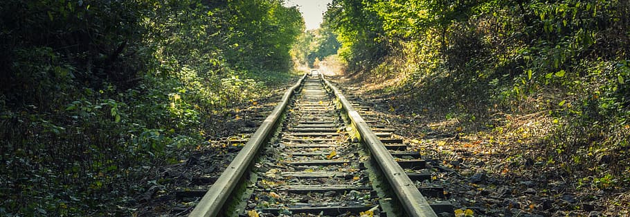 forest, railway, track, railroad Track, transportation, train HD wallpaper
