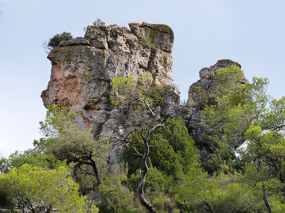 rock, mountain, sky, pine, tree, plant, nature, history, solid HD wallpaper