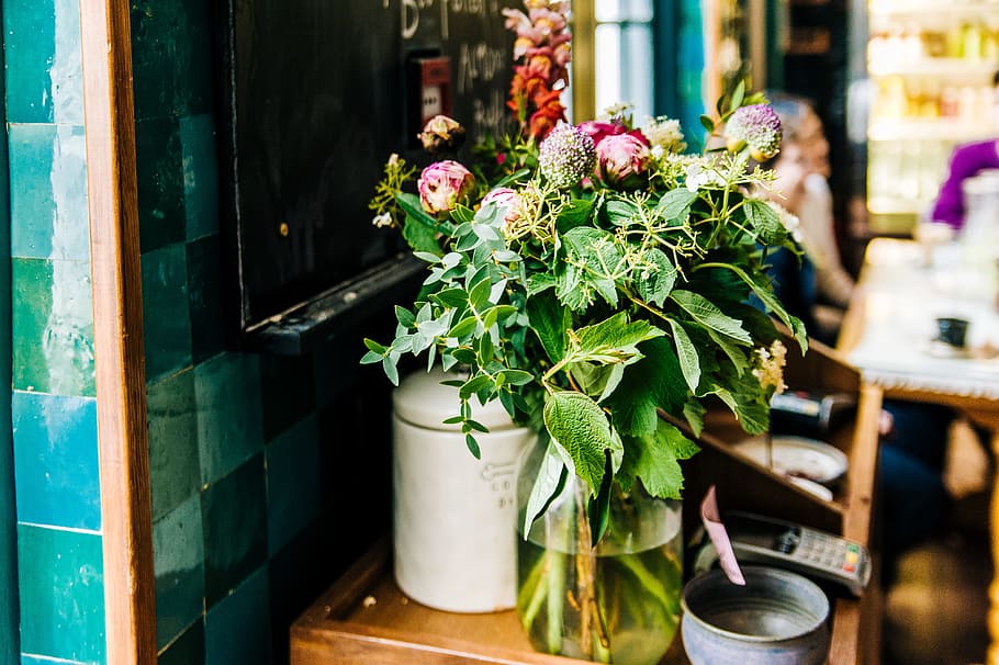 Green Potted Plant, blur, bouquet, colors, container, decor, decoration HD wallpaper