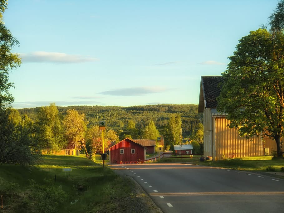 sweden, fall, autumn, sky, clouds, forest, trees, road, nature HD wallpaper
