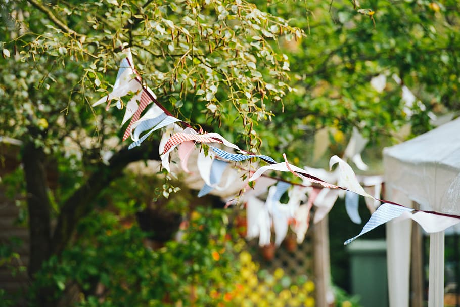 tilt shift lens photography of white and blue bunting during daytime HD wallpaper