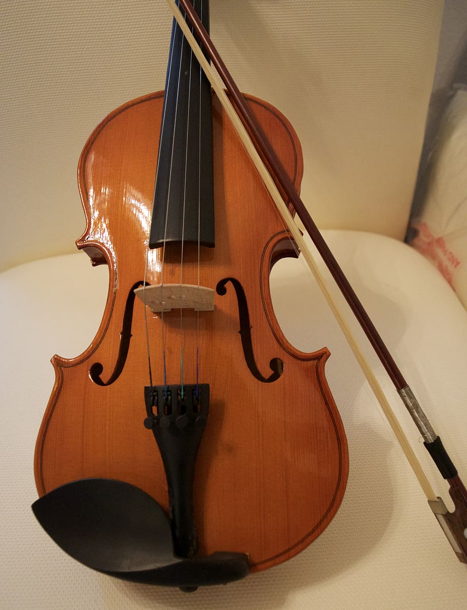 violin, bow, bridge, student instrument, string instrument HD wallpaper