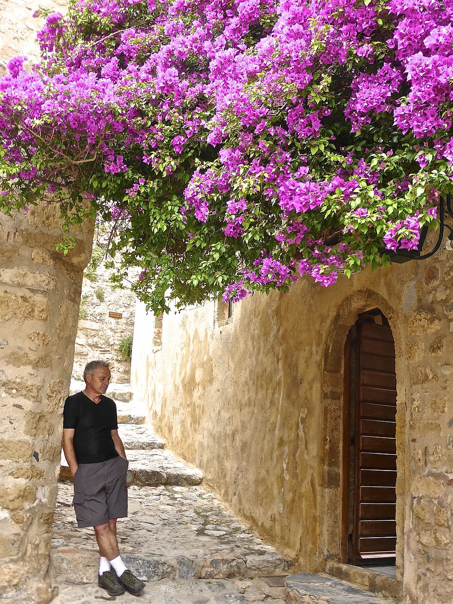 thinking, relax, flowers, contemplation, peaceful, calm, person HD wallpaper