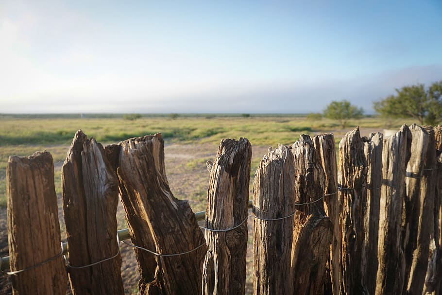 brown wooden fence near green leafed trees, photo of brown wooden fence HD wallpaper