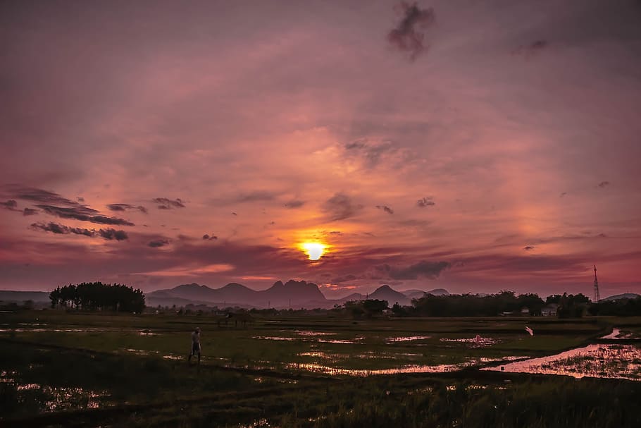 field, rain, twilight, sky, sunset, scenics - nature, cloud - sky HD wallpaper