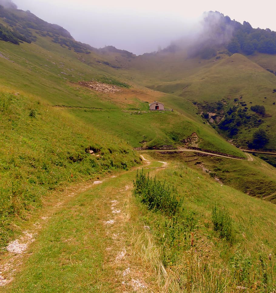 trail, hiking, mountain, walk, veneto, italy, val fraselle HD wallpaper