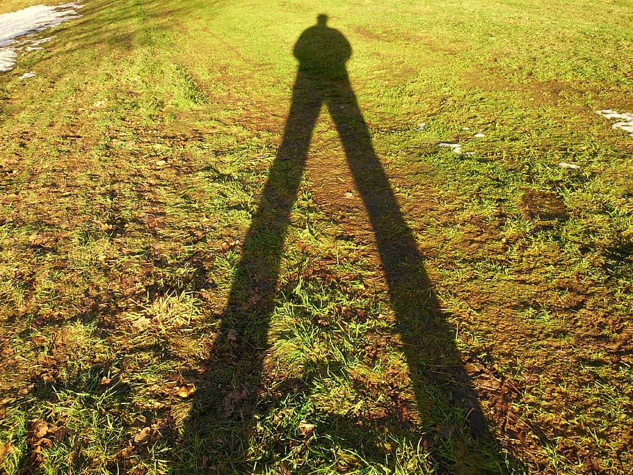 shadow, photographer, light, nature, outdoors, grass, plant HD wallpaper
