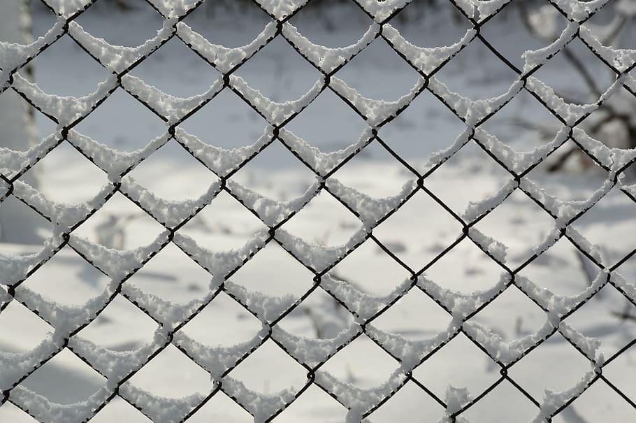 snowy, winter, white, fence, frost, cold, grid, january, wintery HD wallpaper