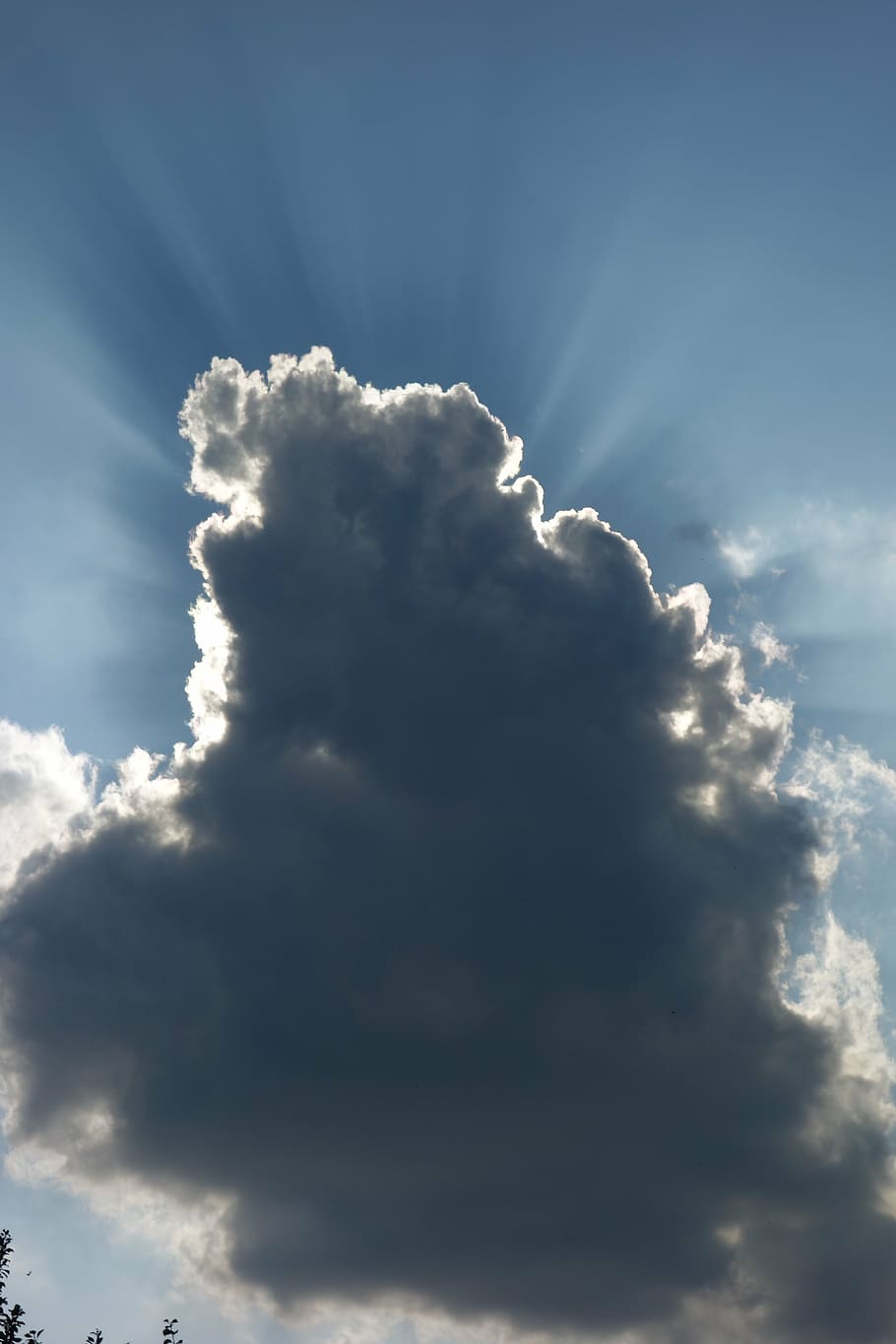 cloud, thunderstorm, cumulus, cloud formation, cloud - sky HD wallpaper