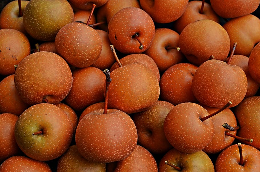 asian pear, fruit, gardening, nature, food, agriculture, closeup HD wallpaper