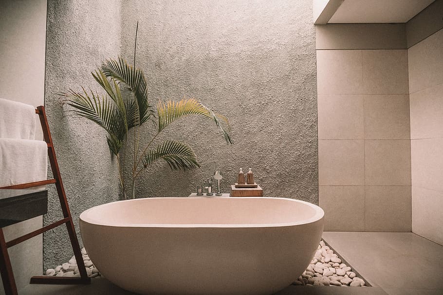 white ceramic bathtub, empty bathtub beside palm plant, bathroom