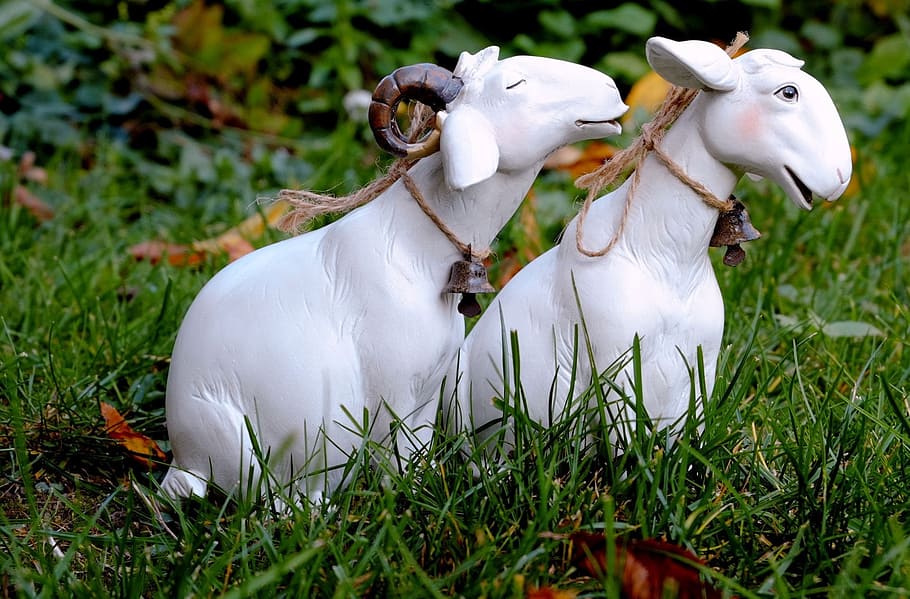 two white deer figurines, sheep, affection, luck, nature, decoration HD wallpaper