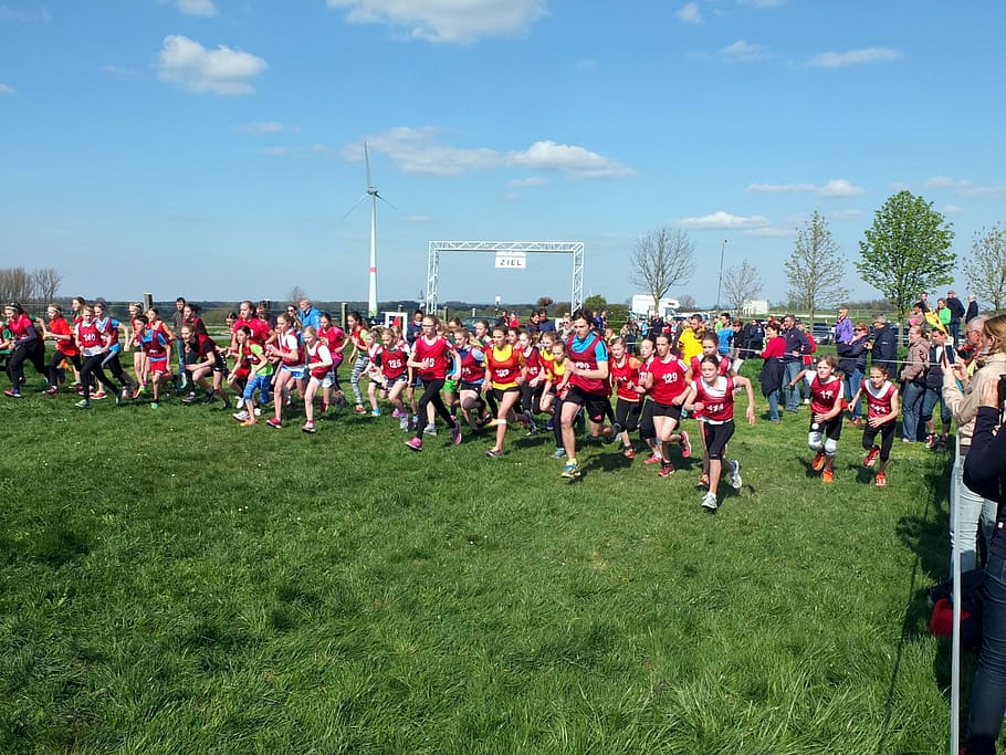 jog, start, running start, competition, sport, young people HD wallpaper
