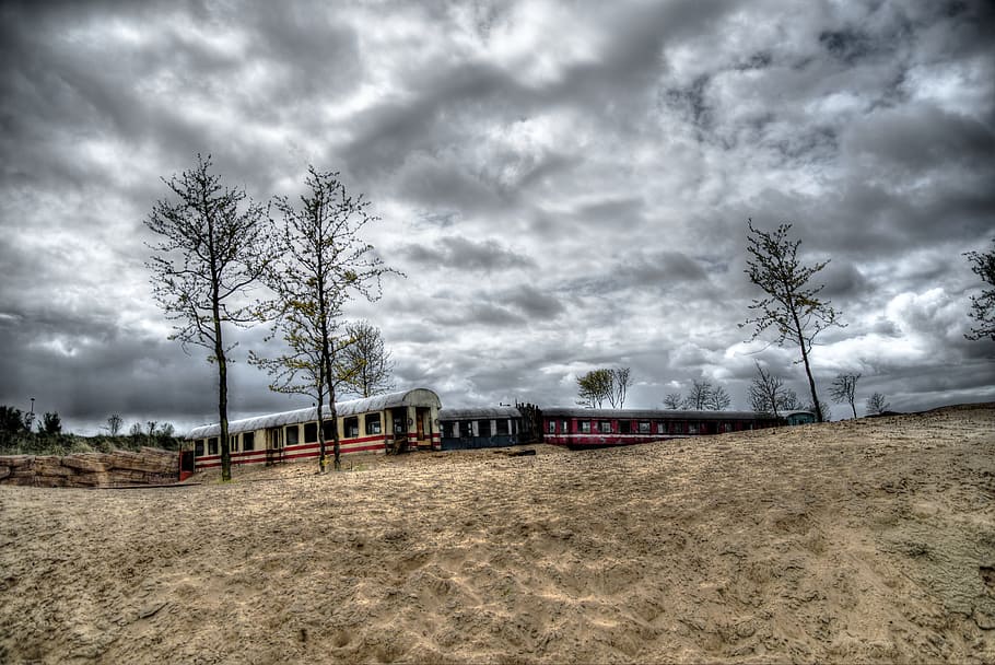 several bare trees under gray sky, Tram, Train, Desert, Abandoned HD wallpaper