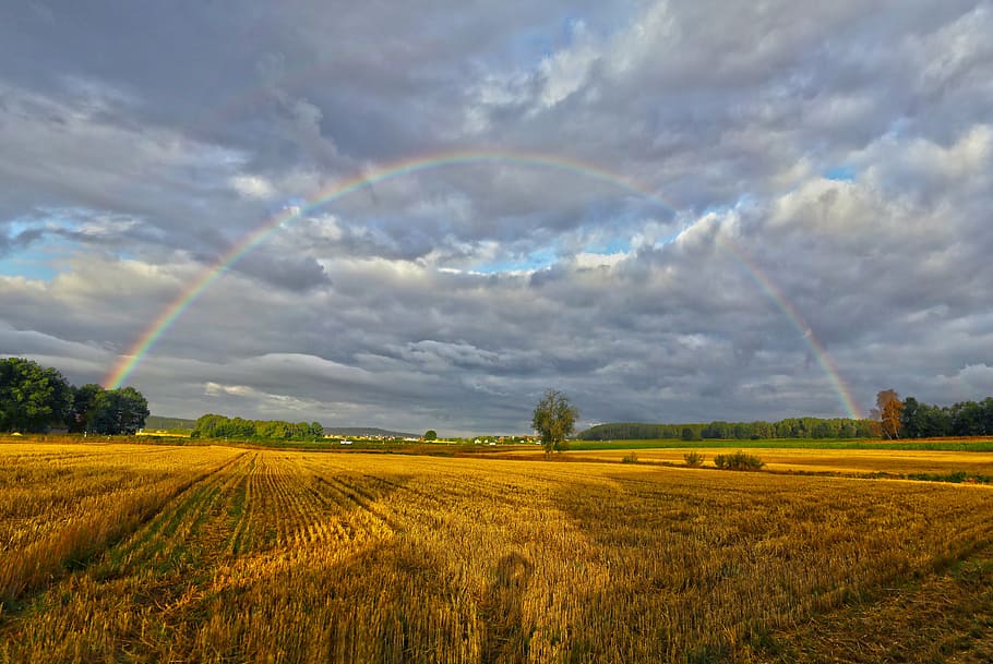 summer, rainbow, landscape, clouds, agriculture, nature, rural Scene HD wallpaper