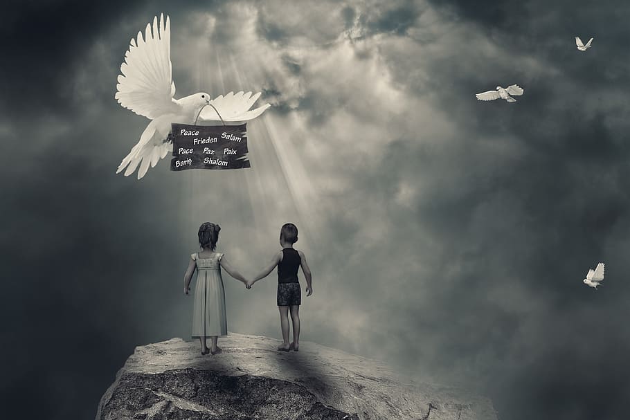 children, dove, harmony, cloud - sky, flying, men, vertebrate HD wallpaper