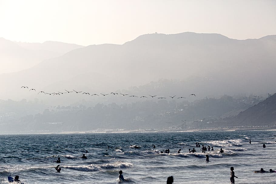 sea, ocean, water, waves, nature, beach, coast, shore, people HD wallpaper