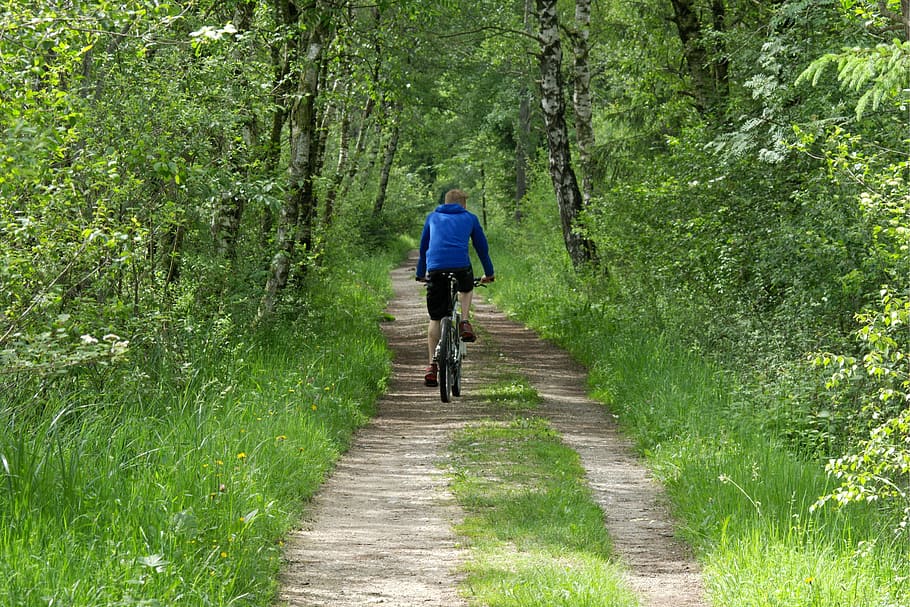 Cycling, Cyclists, Forest, Away, Nature, trees, forest path HD wallpaper