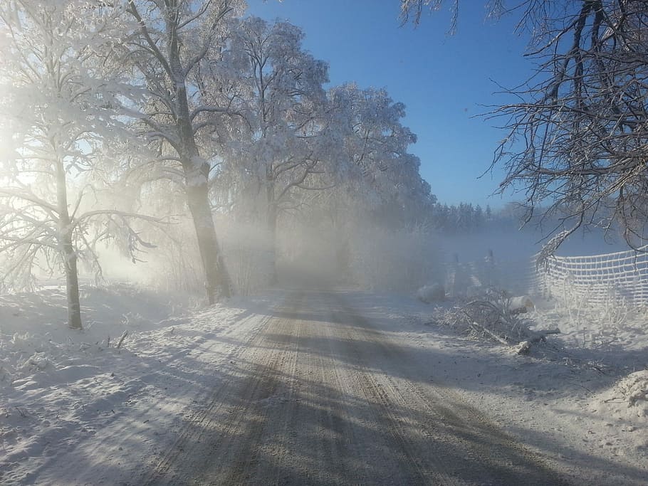 Winter, Way, Spring, Village, cold temperature, snow, tree HD wallpaper