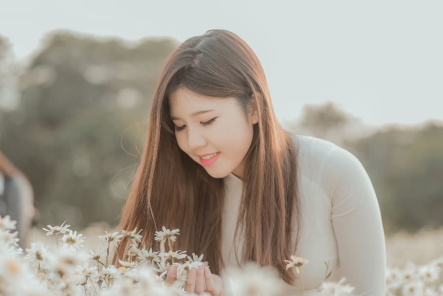 beautiful, blur, cute, delicate, fall, fashion, flora, flowers HD wallpaper