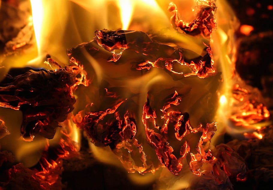 flames, burning, heat, hot, light, to clear, glow, fire, fire - natural phenomenon HD wallpaper