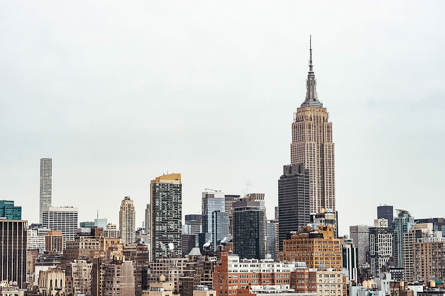 photo of Empire State Building during daytime, New York Skyline HD wallpaper