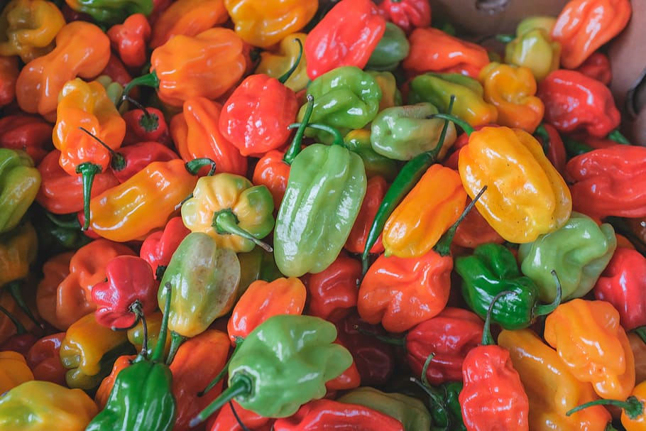 chili pepper lot, re and green chili pepper lot, chilli, red, HD wallpaper