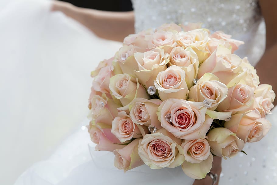 woman wearing white wedding dress carrying pink rose flower bouquet HD wallpaper
