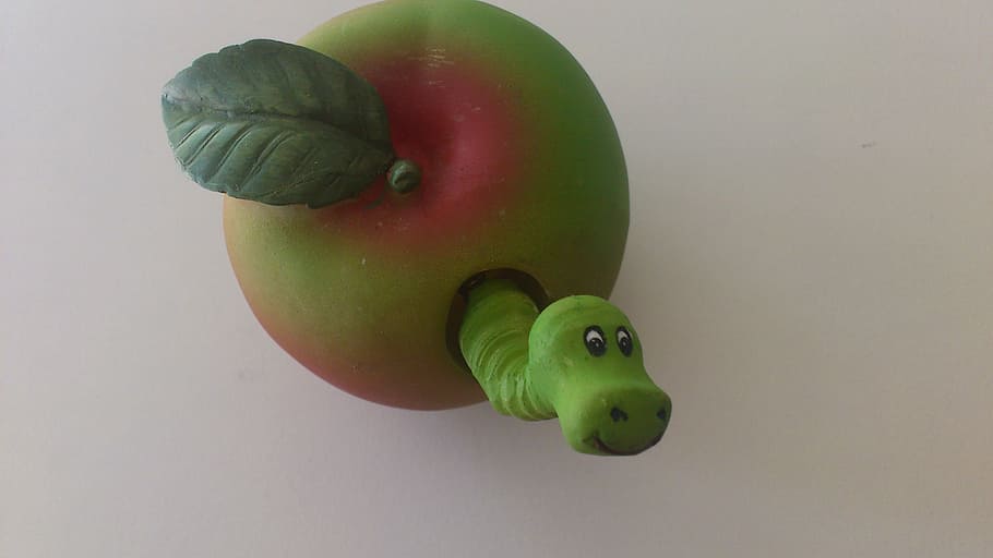 apple, worm, holzapfel, healthy eating, food and drink, green color HD wallpaper