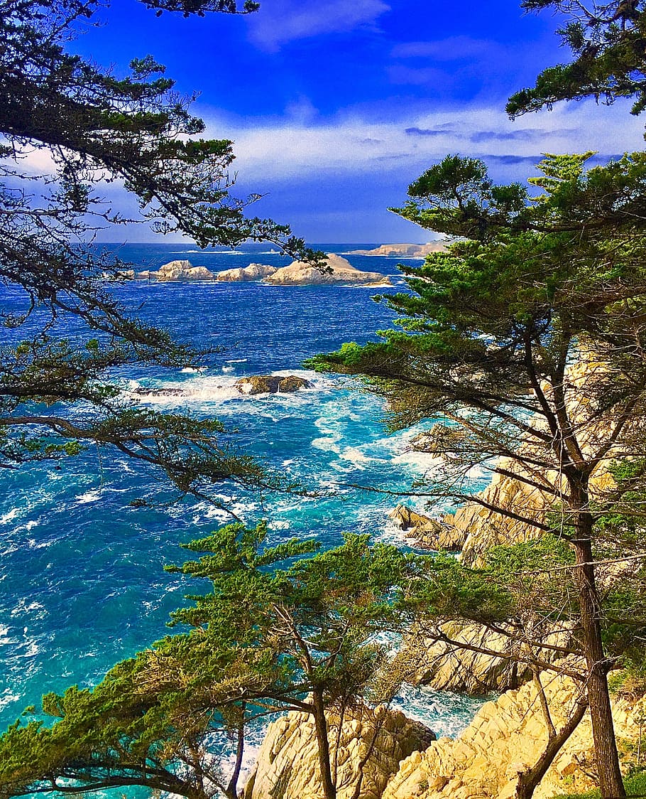coastline, ocean, cliffs, california, blue, plant, tree, water HD wallpaper