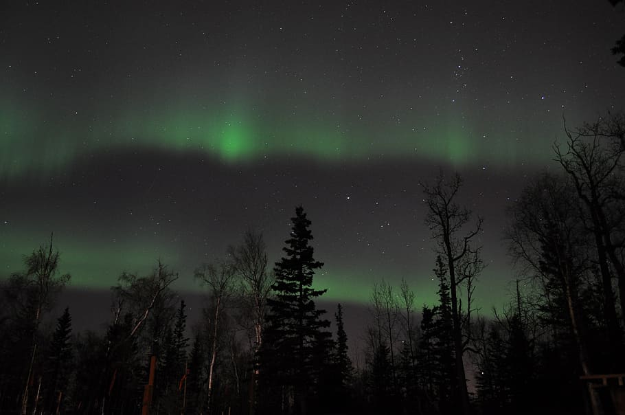 aurora borealis, northern, sky, lights, stars, magic, north pole, HD wallpaper