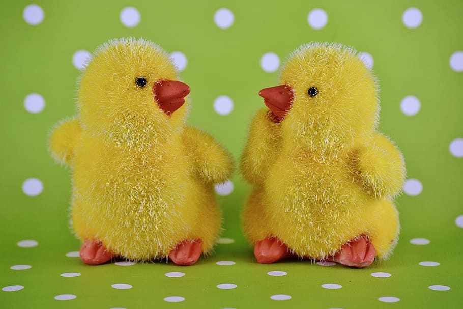 two yellow ducklings photography, chicks, easter, cute, decoration HD wallpaper