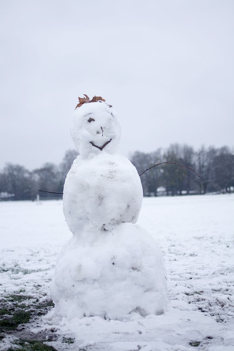 selective focus photography of snowman, snowman in the middle of field HD wallpaper