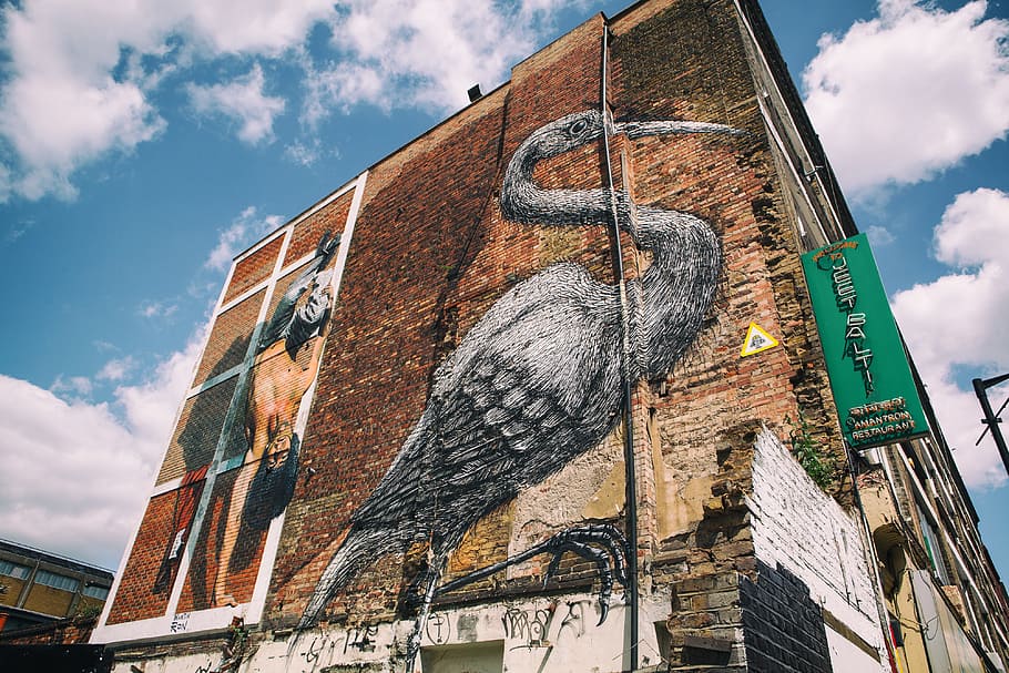 Shot of a street art bird on the side of a building in East London, HD wallpaper