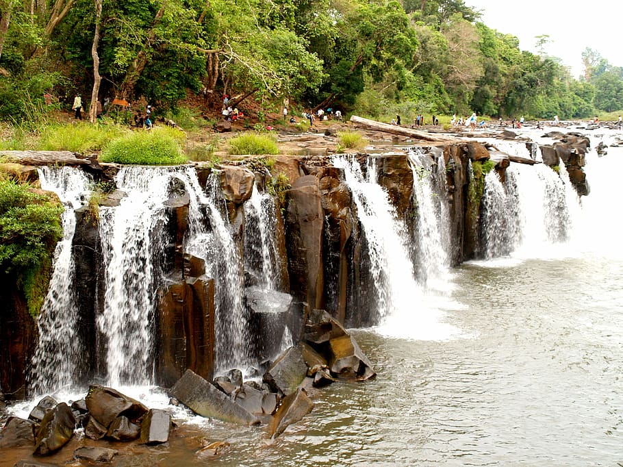 time-lapse photography of falls, waterfall, forest, scenic HD wallpaper