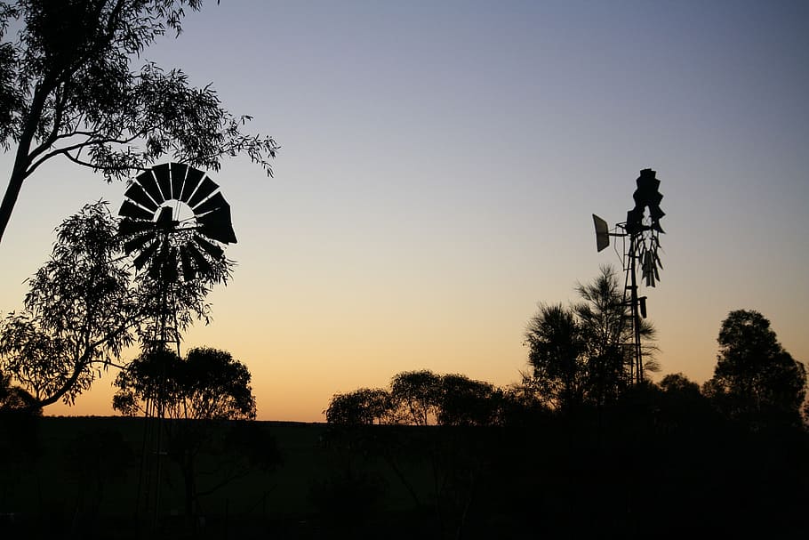 windmill, windmills, silhouette, trees, branches, rural, sunset HD wallpaper