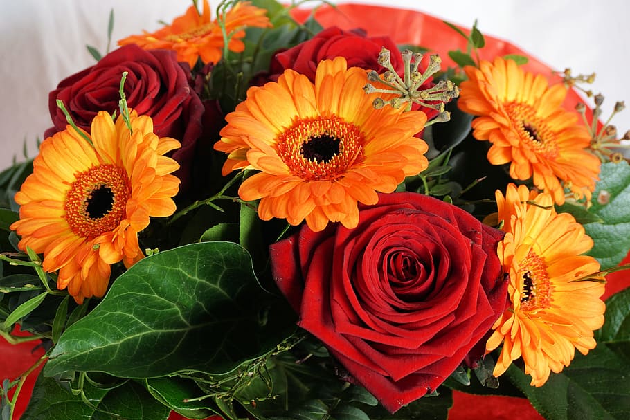 red rose and orange Gerbera flower arrangement, bouquet, roses, HD wallpaper