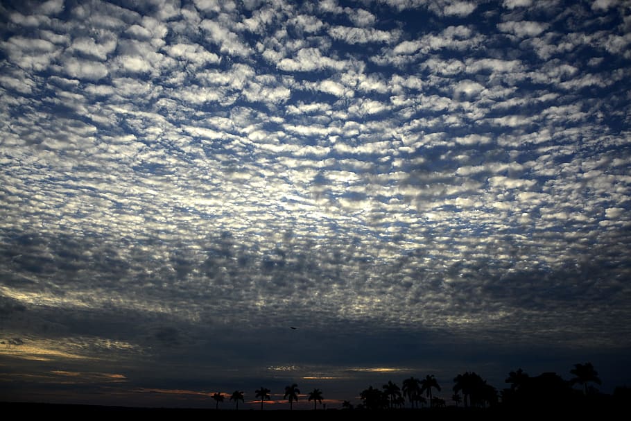 tree, sky, clouds, twigs, nature, blue, old tree, landscape HD wallpaper