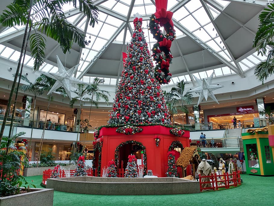 christmas tree, shopping center, holiday, decoration, cultures, HD wallpaper