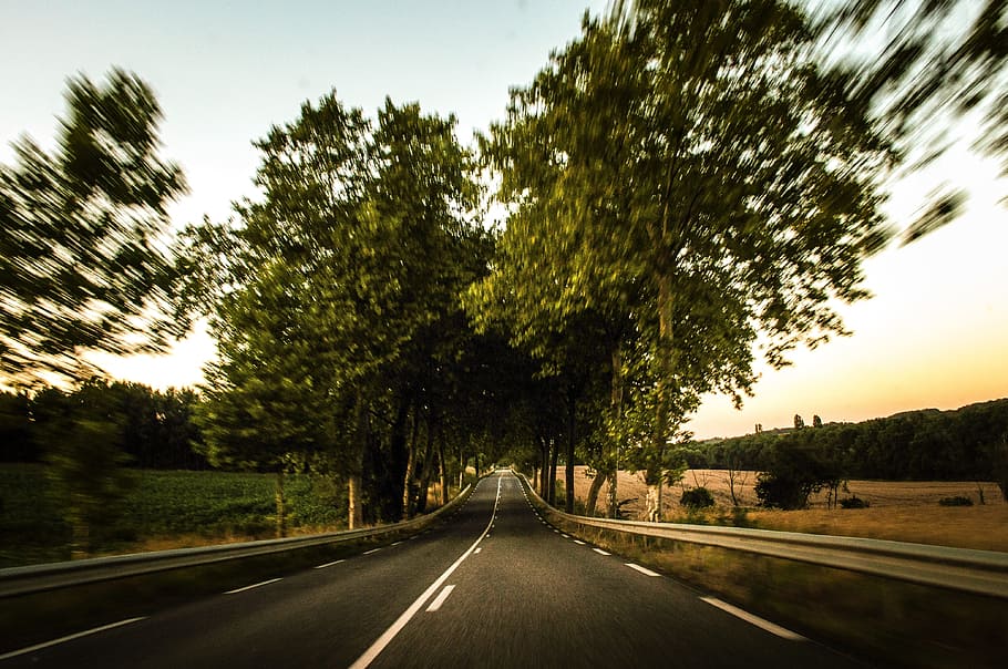 gray asphalt road surrounded by trees, speed, motion, transportation HD wallpaper