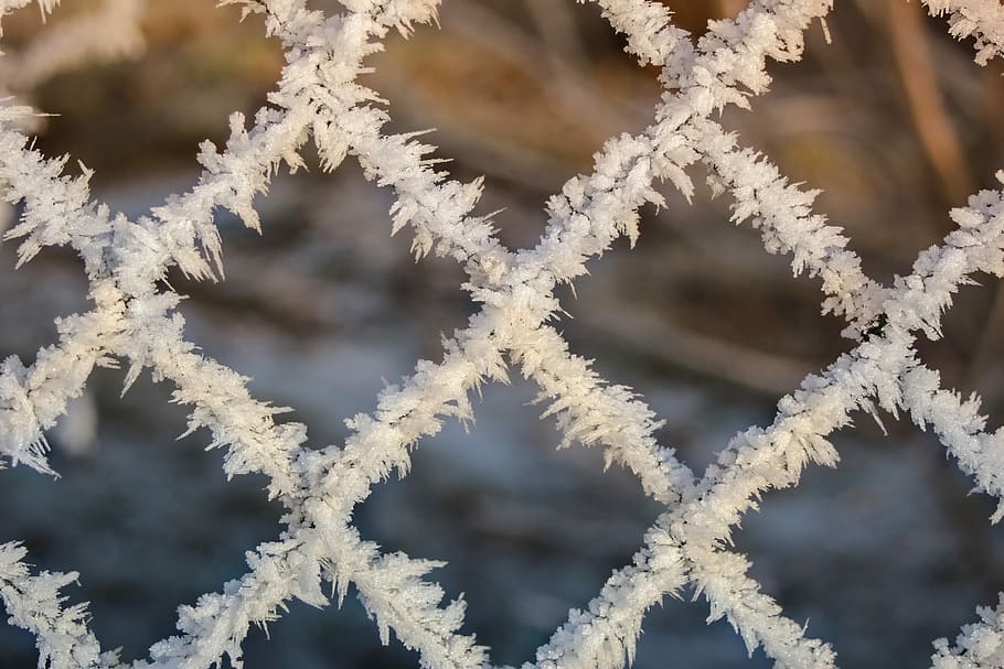 frost, winter, snow, iced, hoarfrost, eiskristalle, fence, architecture HD wallpaper