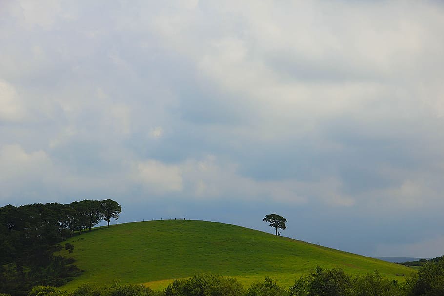 Nature, Freedom, Meditation, alone, sky, green, tree, natural HD wallpaper
