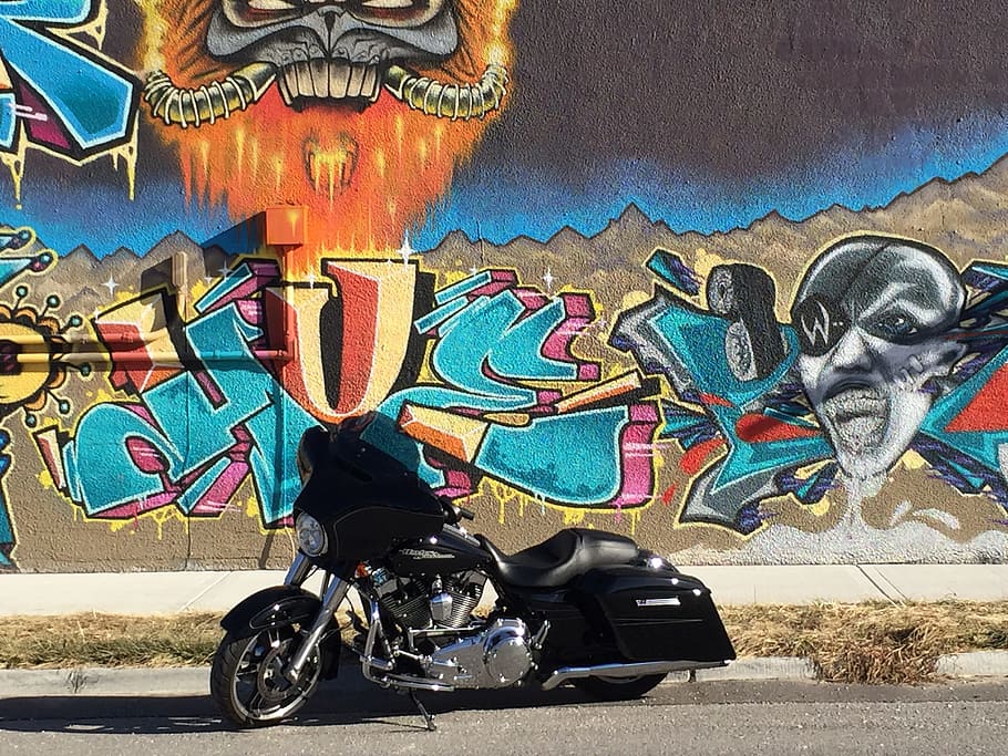 harley, davidson, motor, motorcycle, street, harley-davidson HD wallpaper