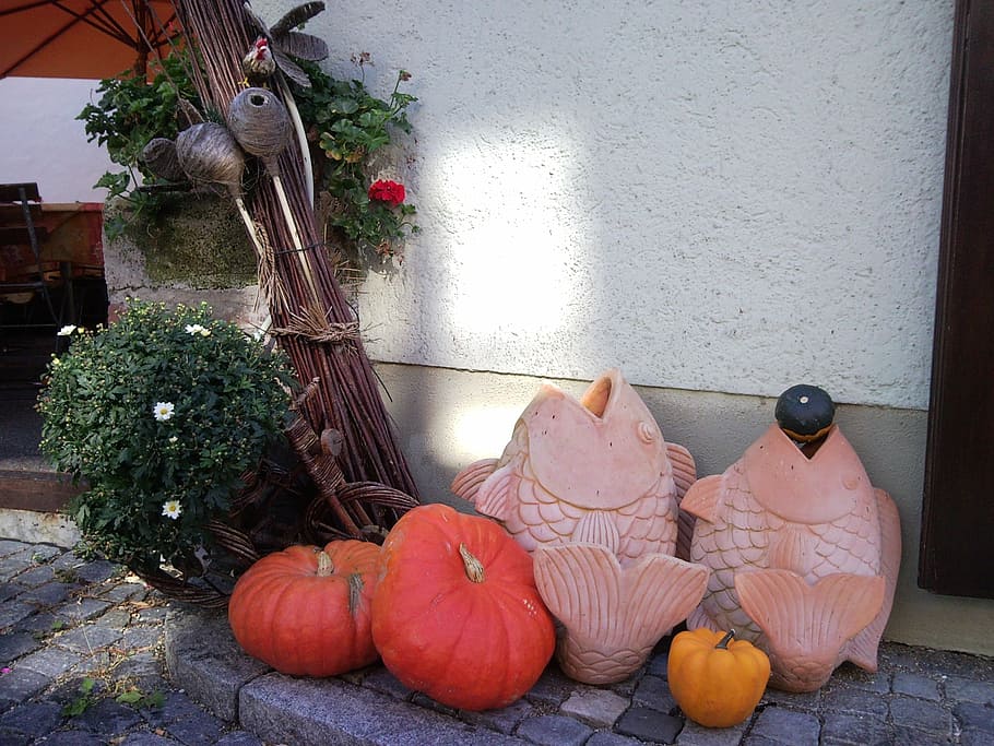 thrown fish, pumpkin, decoration, hauswand, ulm, autumn, food HD wallpaper