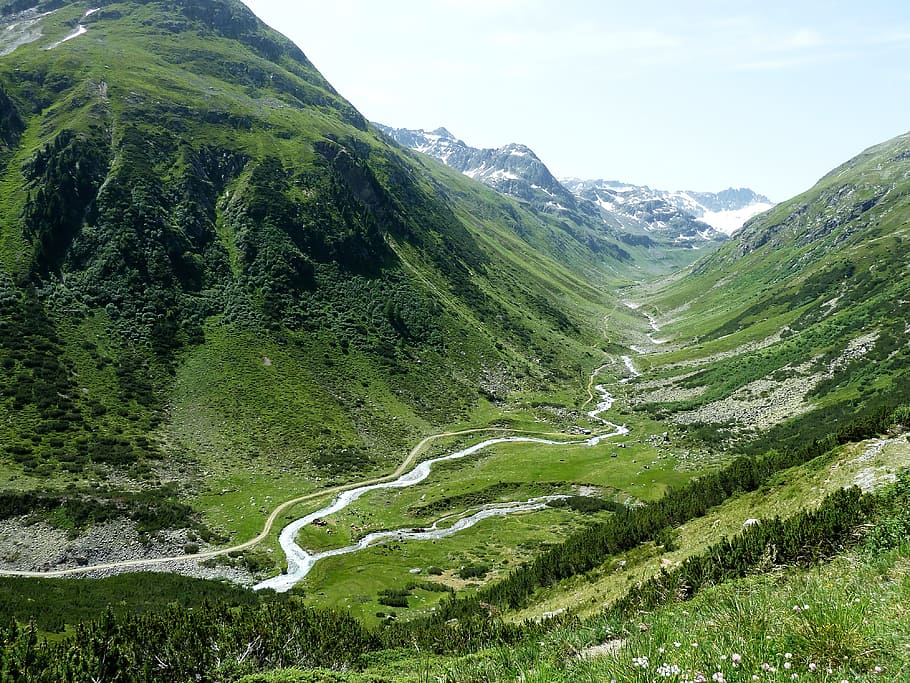 landscape photography of green leaf plants and mountain range during daytime HD wallpaper