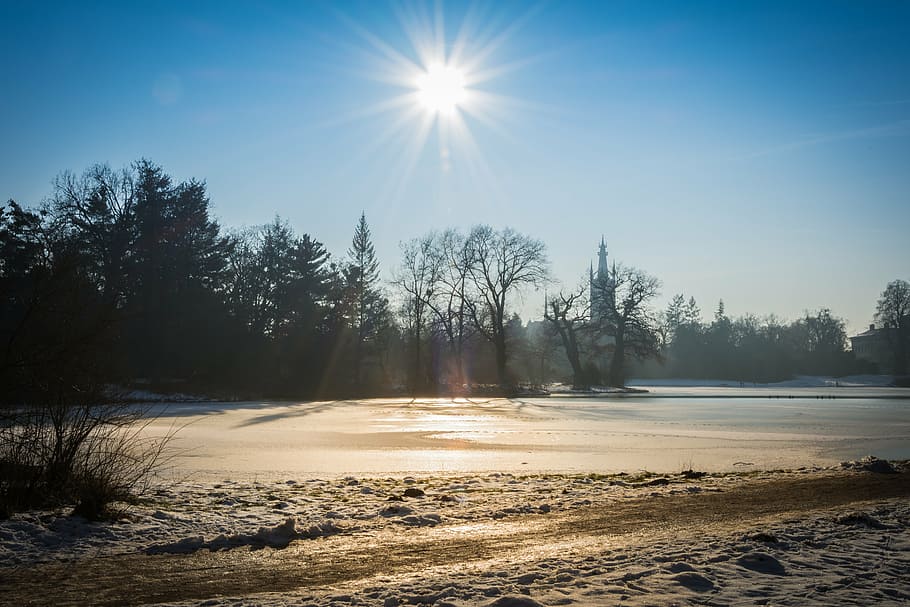 winter, park, park wörlitz, cold, snow, trees, landscape, wintry HD wallpaper